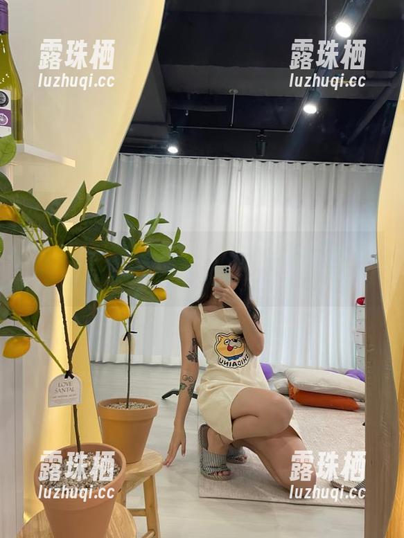 图集还在继续–Sira(시라)的透明及其下的资源游乐场