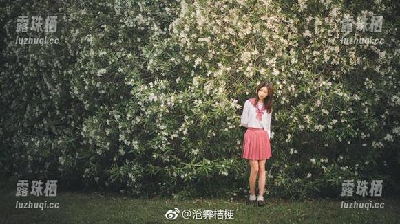 沧霁桔梗 不怕你看不过来,沧霁桔梗的“路易九世”福利图片大优雅